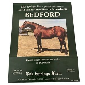 Bedford Thoroughbred Horse at Oak Springs Farm Stud Announcement TwoSided Flyer